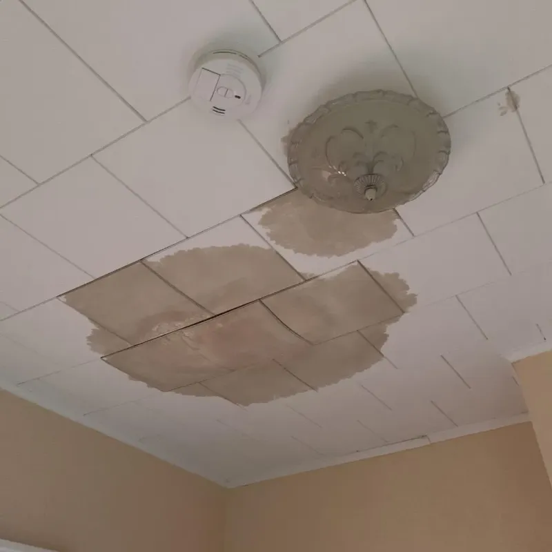 Ceiling Water Damage Repair in Fairfax, OH