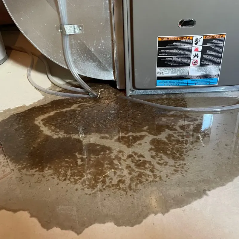 Pipe Burst and Leak Restoration in Fairfax, OH